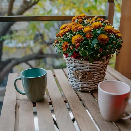 Bella's Sea Apartment-beach, Sea Garden ,old Town, Free Parking, Free Evcharging Station * ヴァルナ